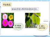 大象版科学六上 4.3《植物的遗传和变异》课件
