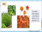 大象版科学六上 4.3《植物的遗传和变异》课件