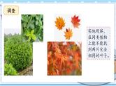 大象版科学六上 4.3《植物的遗传和变异》课件
