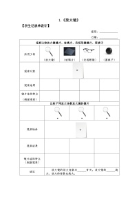 教科版 (2017)六年级上册1.放大镜教案设计