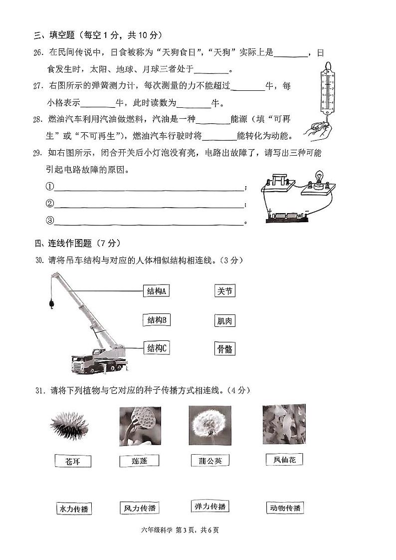 浙江省温州市乐清市2022-2023学年六年级下学期期末科学试题03
