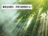 1.1 有关光的思考-教科版科学五年级上册课件PPT