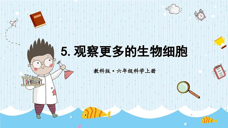 1.5 观察更多的生物细胞-教科版科学六年级上册 课件01
