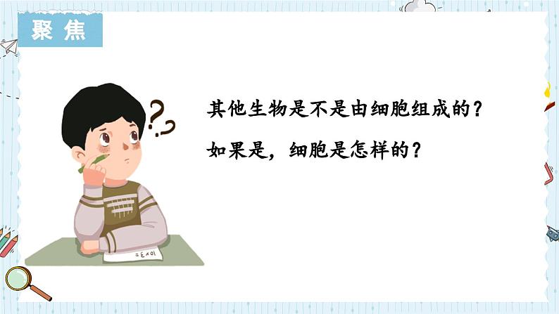 1.5 观察更多的生物细胞-教科版科学六年级上册 课件03