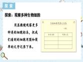 1.5 观察更多的生物细胞-教科版科学六年级上册 课件