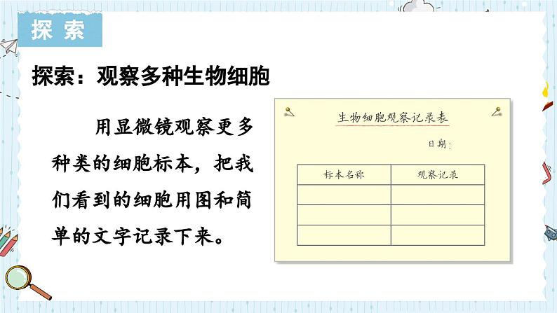 1.5 观察更多的生物细胞-教科版科学六年级上册 课件04