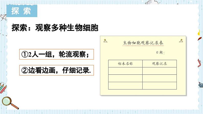 1.5 观察更多的生物细胞-教科版科学六年级上册 课件05