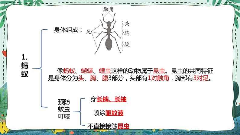 青岛版四年级上册第一单元（动物王国） 复习PPT03