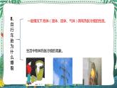 青岛版四年级上册第二单元（冷与热） 复习PPT