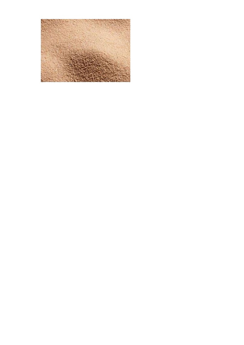 粤教版四年级上册科学第二单元岩石测试题（含答案）第3页