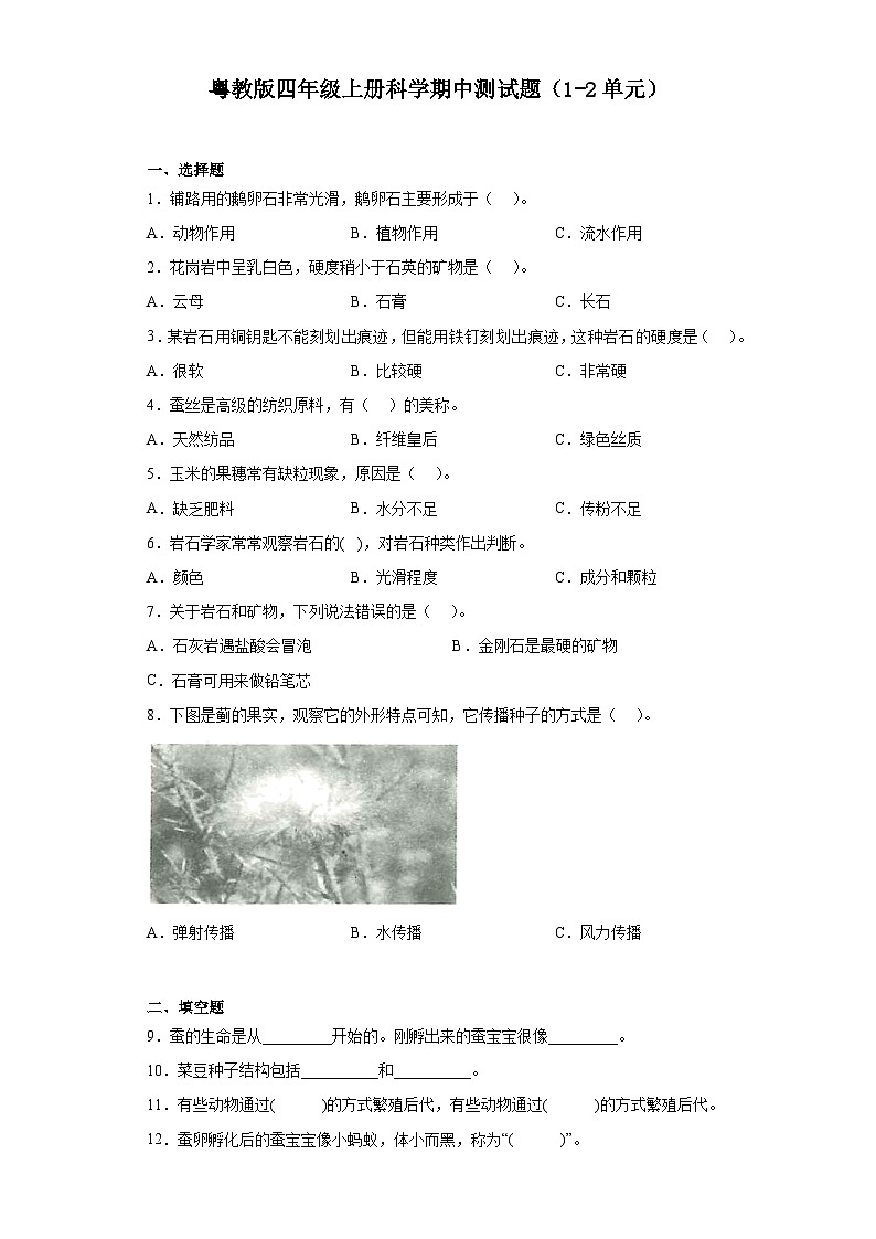 粤教版四年级上册科学期中测试题（1-2单元）（含答案）第1页