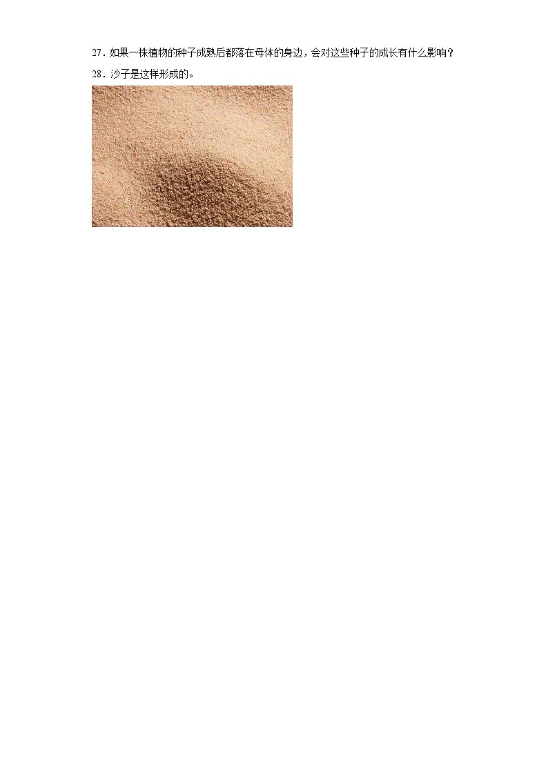 粤教版四年级上册科学期中测试题（1-2单元）（含答案）第3页