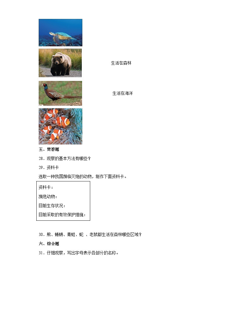 粤教粤科版科学三上 第一单元观察动物测试题（含答案）03