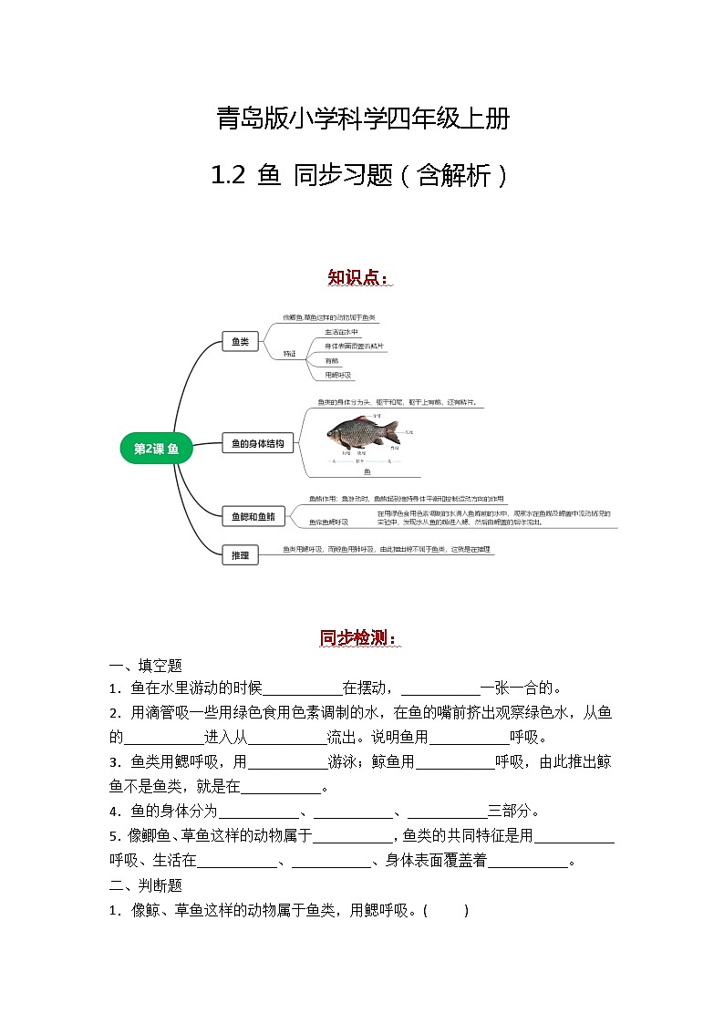 青岛版科学四年级上册 1.2鱼 同步练习+答案01
