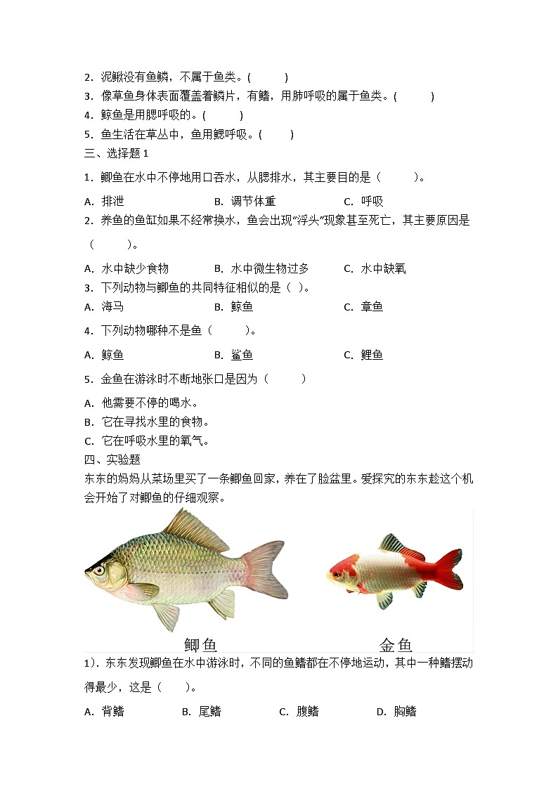 青岛版科学四年级上册 1.2鱼 同步练习+答案02