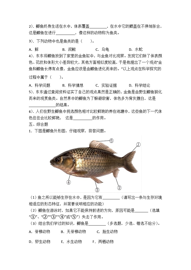 青岛版科学四年级上册 1.2鱼 同步练习+答案03