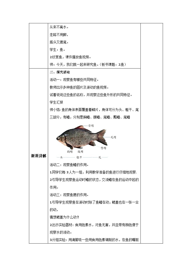 青岛版科学四年级上册 1.2鱼 课件PPT+教案+视频素材02