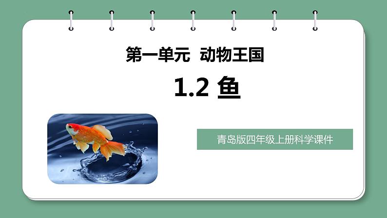 青岛版科学四年级上册 1.2鱼 课件PPT+教案+视频素材01