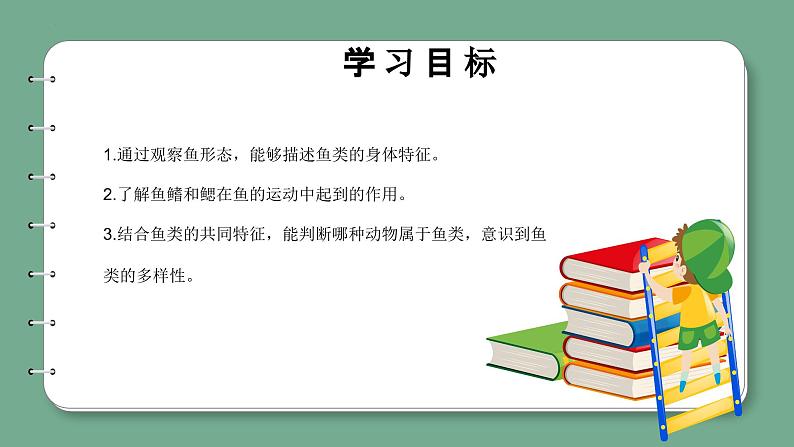 青岛版科学四年级上册 1.2鱼 课件PPT+教案+视频素材02