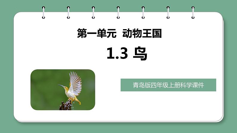 青岛版科学四年级上册 1.3鸟 课件PPT+教案+视频素材01