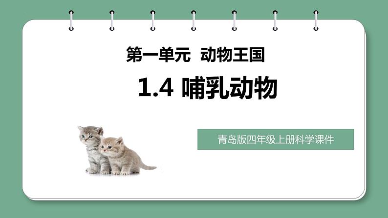 青岛版科学四年级上册 1.4哺乳动物 课件PPT+教案+视频素材01