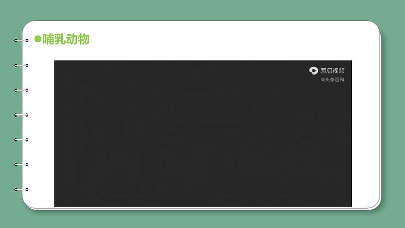 青岛版科学四年级上册 1.4哺乳动物 课件PPT+教案+视频素材06