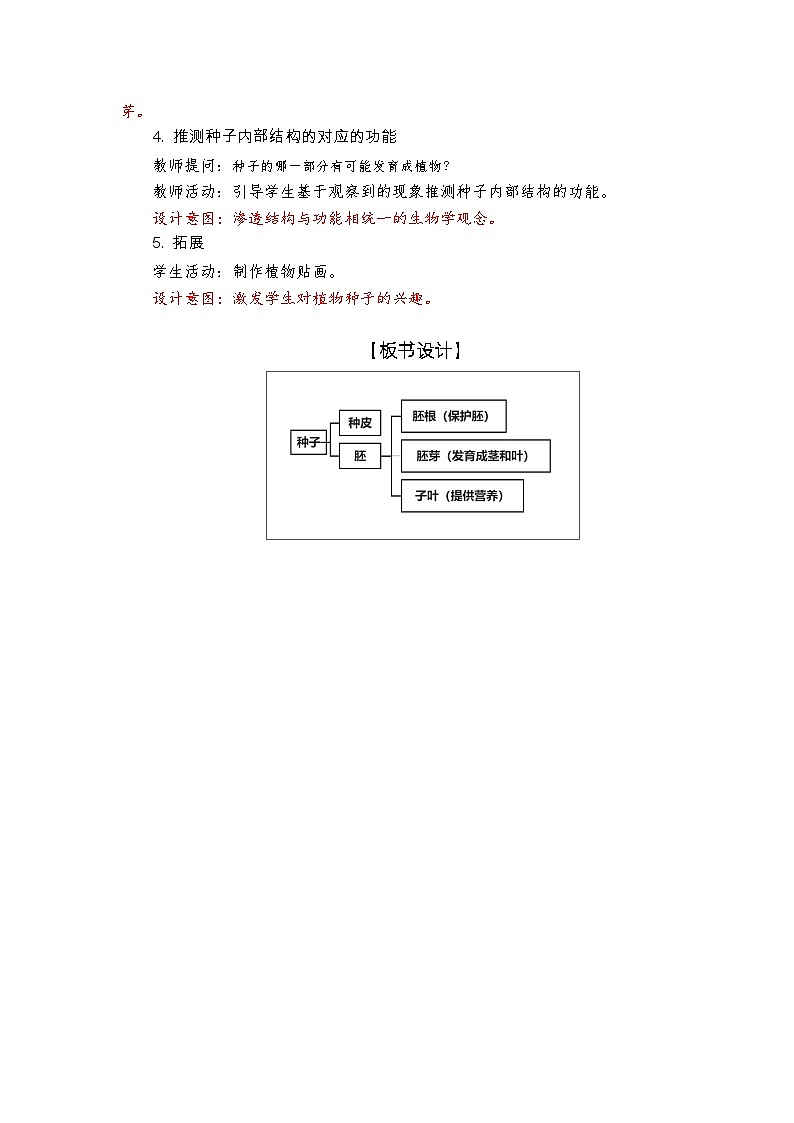 教科版4下-第1单元第1课-种子里孕育着生命1 教案03