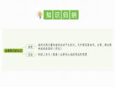 【新】教科版5上第2单元第7课-总结我们的认识习题课件PPT