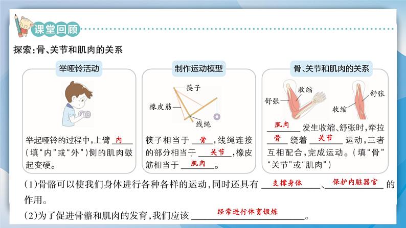 【新】教科版5上第4单元第2课-身体的运动习题课件PPT第3页