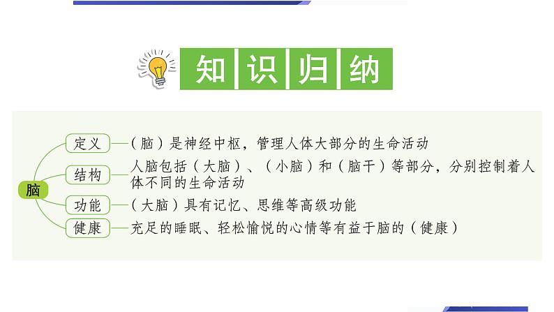 【新】教科版5上第4单元第4课-身体的“总指挥”习题课件PPT02