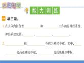 【新】教科版5上第4单元第5课-身体的“联络员”习题课件PPT