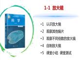 【新】教科版科学六年级上册第1单元1.放大镜PPT课件+习题+教学设计+视频素材