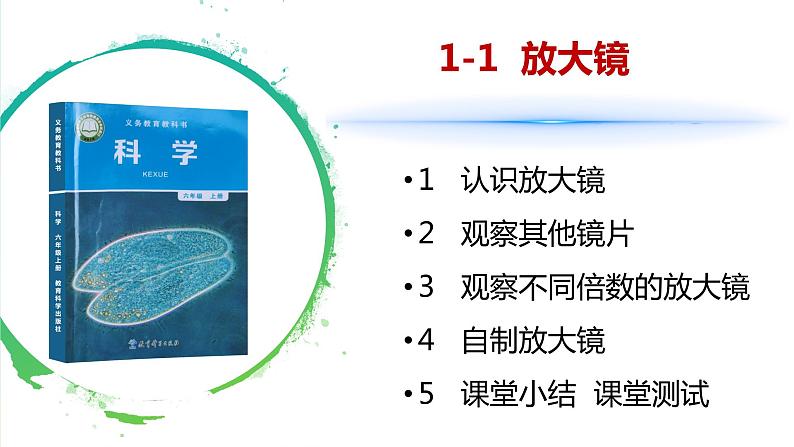 【新】教科版科学六年级上册第1单元1.放大镜PPT课件+习题+教学设计+视频素材02