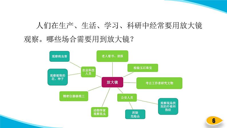 【新】教科版科学六年级上册第1单元1.放大镜PPT课件+习题+教学设计+视频素材06