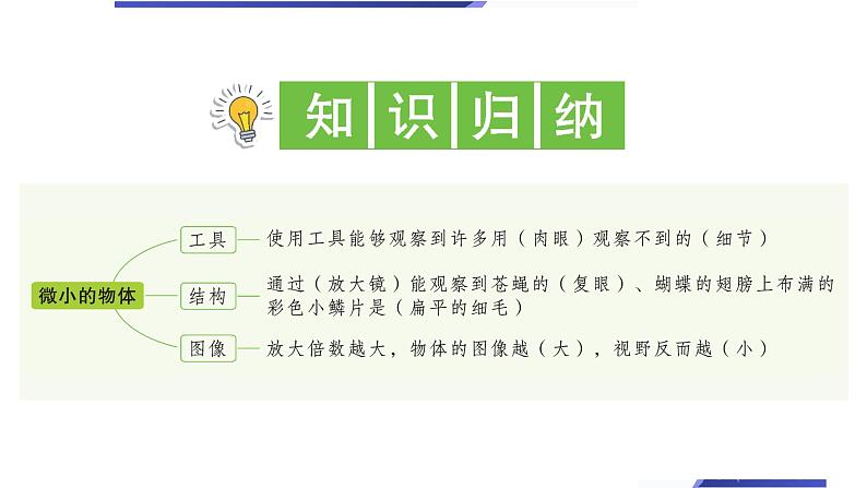 【新】教科版科学六年级上册第1单元3.观察身边微小的物体习题第2页