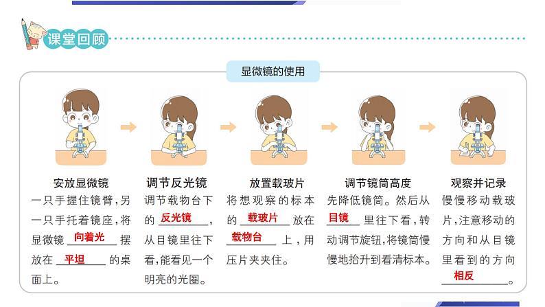 【新】教科版科学六年级上册第1单元3.观察身边微小的物体习题第3页