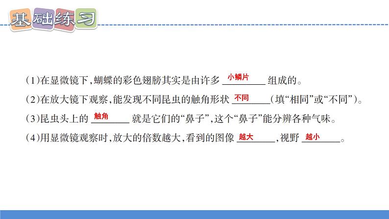 【新】教科版科学六年级上册第1单元3.观察身边微小的物体习题第4页