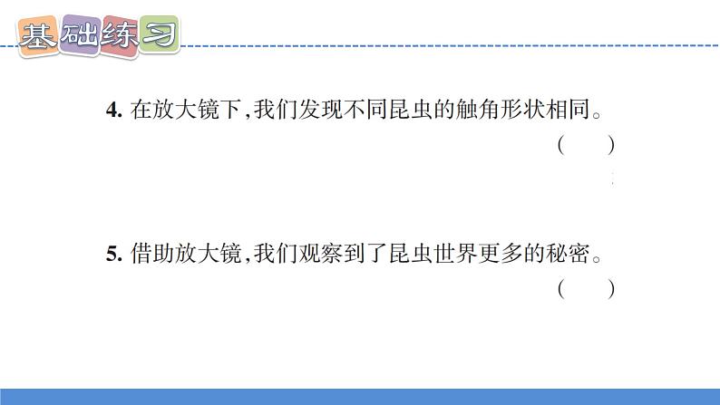 【新】教科版科学六年级上册第1单元3.观察身边微小的物体习题第6页