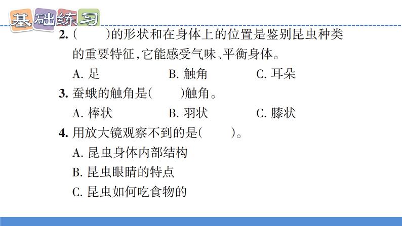 【新】教科版科学六年级上册第1单元3.观察身边微小的物体习题第8页