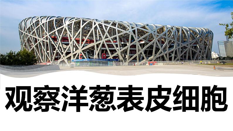 【新】教科版科学六年级上册第1单元4.观察洋葱表皮细胞PPT课件+习题+教学设计+视频素材01