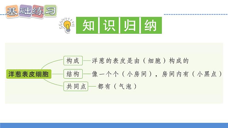 【新】教科版科学六年级上册第1单元4.观察洋葱表皮细胞PPT课件+习题+教学设计+视频素材03