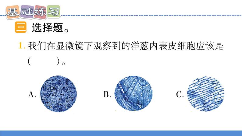 【新】教科版科学六年级上册第1单元4.观察洋葱表皮细胞PPT课件+习题+教学设计+视频素材06
