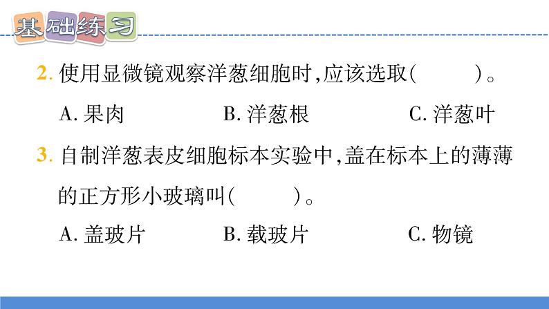 【新】教科版科学六年级上册第1单元4.观察洋葱表皮细胞PPT课件+习题+教学设计+视频素材07