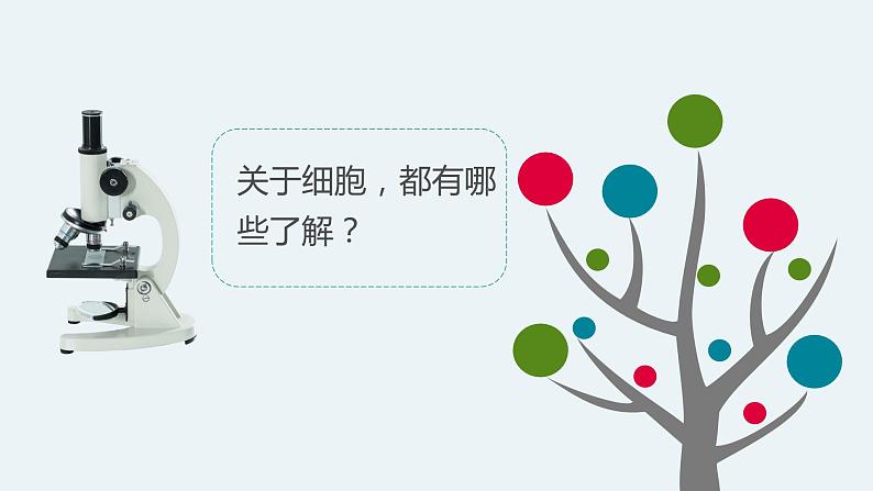 【新】教科版科学六年级上册第1单元4.观察洋葱表皮细胞PPT课件+习题+教学设计+视频素材04