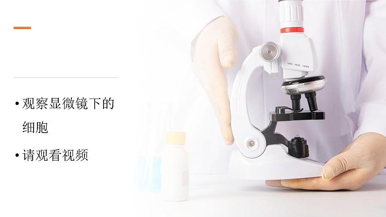 【新】教科版科学六年级上册第1单元4.观察洋葱表皮细胞PPT课件+习题+教学设计+视频素材06