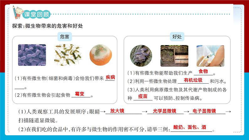 【新】教科版科学六年级上册第1单元7.微生物与健康习题第3页