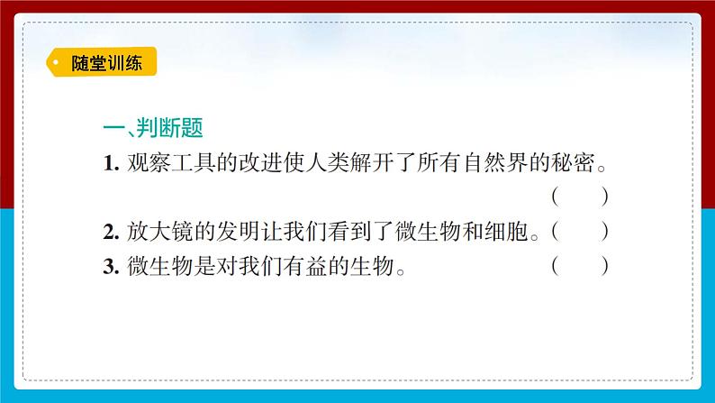【新】教科版科学六年级上册第1单元7.微生物与健康习题第4页