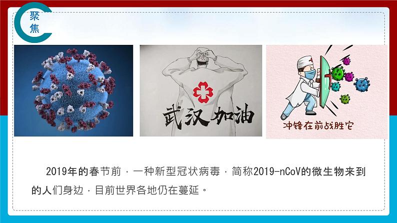 【新】教科版科学六年级上册第1单元7.微生物与健康第3页