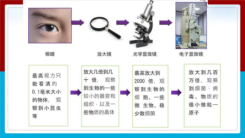 【新】教科版科学六年级上册第1单元7.微生物与健康第5页