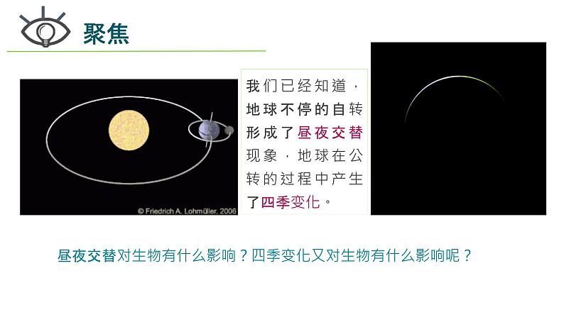 【新】教科版科学六年级上册第2单元7.昼夜和四季变化对生物的影响PPT课件+习题+教学设计+视频素材03